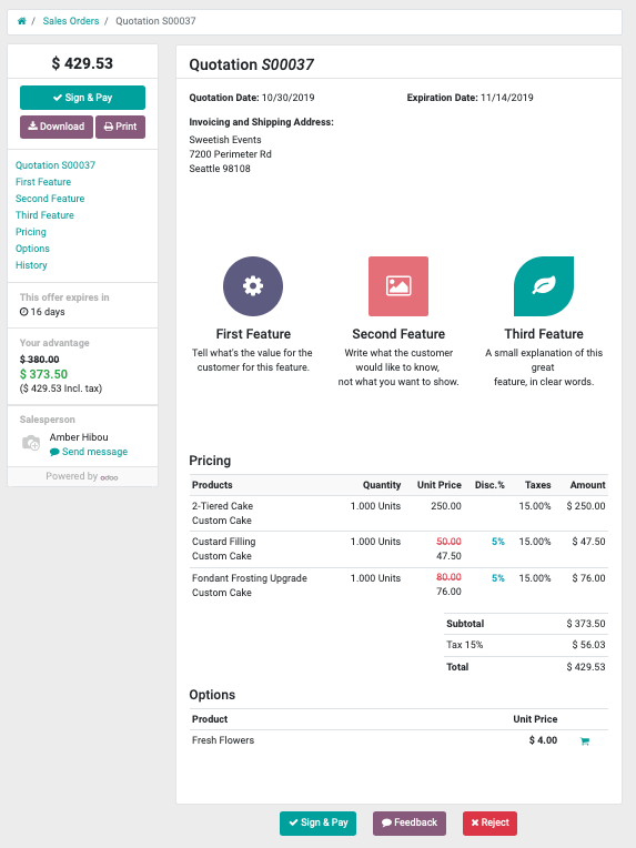 Odoo CMS - a big picture