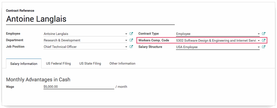 Odoo CMS - a big picture